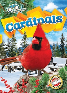 Front cover_Cardinals