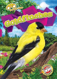 Front cover_Goldfinches