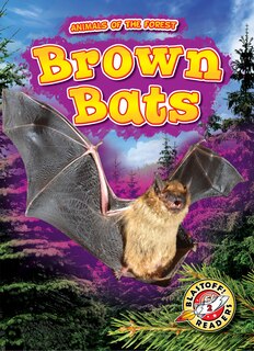 Front cover_Brown Bats