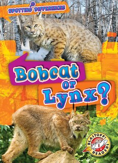 Front cover_Bobcat or Lynx?
