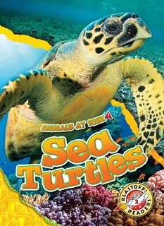 Front cover_Sea Turtles
