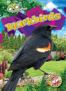 Front cover_Blackbirds