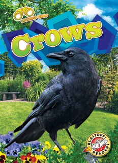 Front cover_Crows