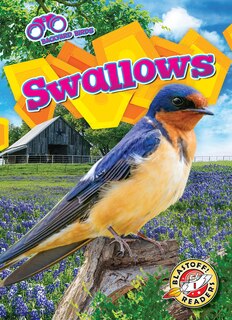 Front cover_Swallows