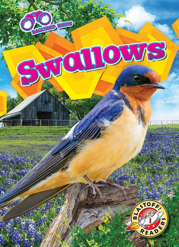 Front cover_Swallows