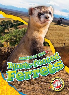 Couverture_Black-Footed Ferrets