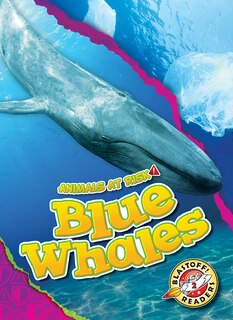 Couverture_Blue Whales