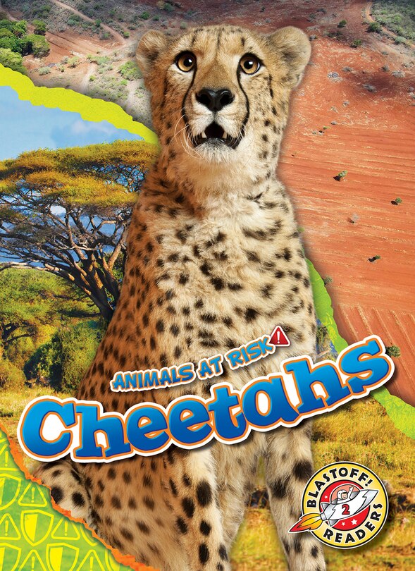 Front cover_Cheetahs