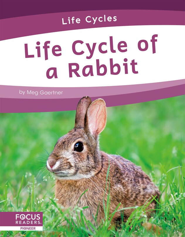 Couverture_Life Cycle of a Rabbit