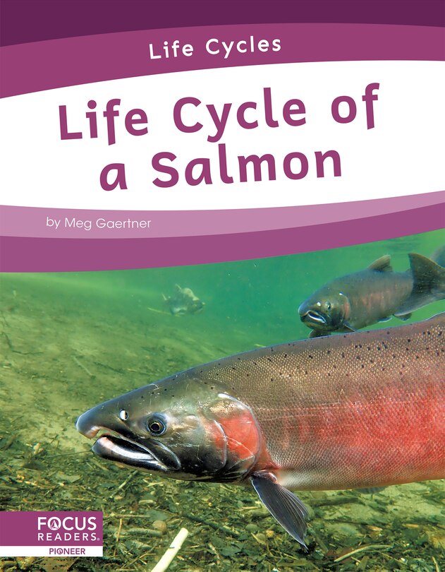 Front cover_Life Cycle of a Salmon