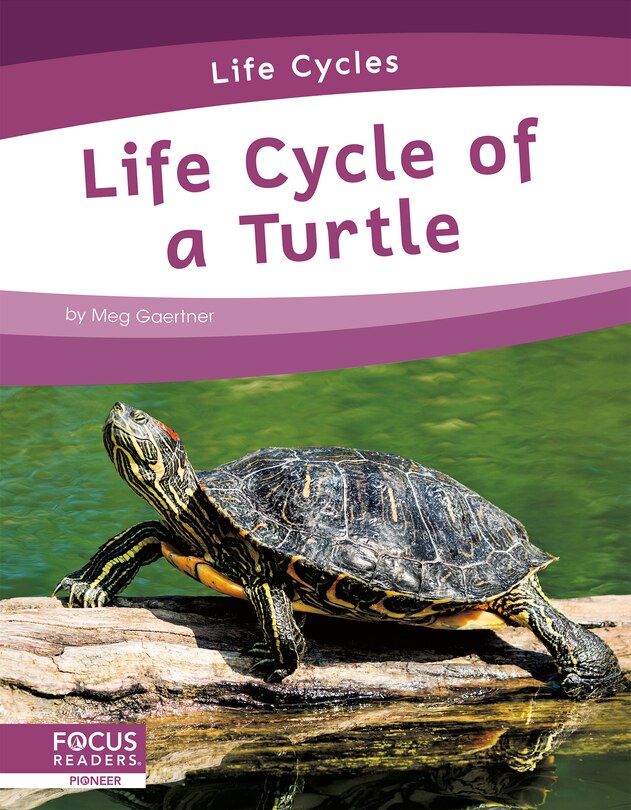 Couverture_Life Cycle of a Turtle