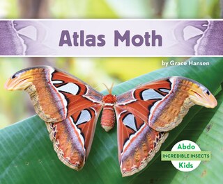 Front cover_Atlas Moth