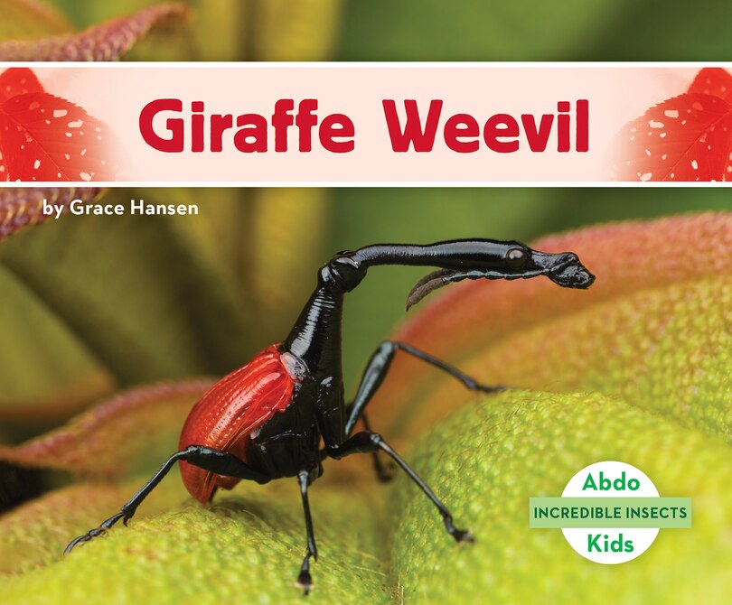 Front cover_Giraffe Weevil