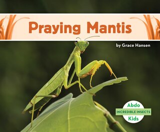 Front cover_Praying Mantis
