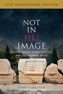 Front cover_Not in His Image (15th Anniversary Edition)