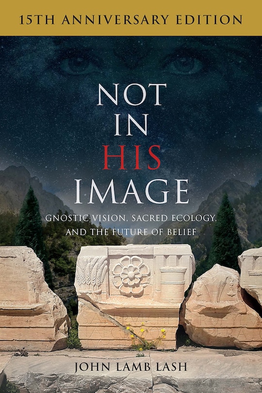 Front cover_Not in His Image (15th Anniversary Edition)