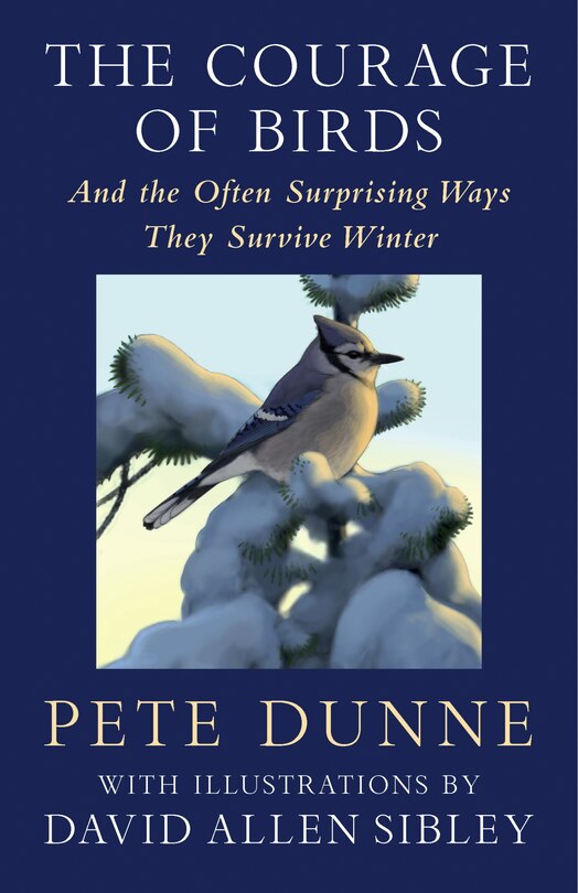 Couverture_The Courage of Birds