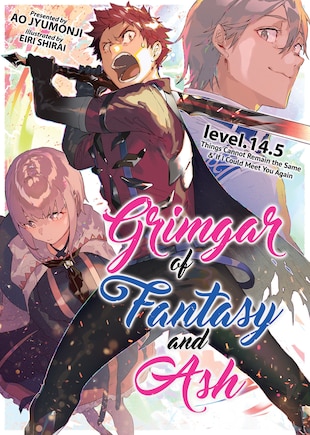 Grimgar Of Fantasy And Ash (light Novel) Vol. 14.5