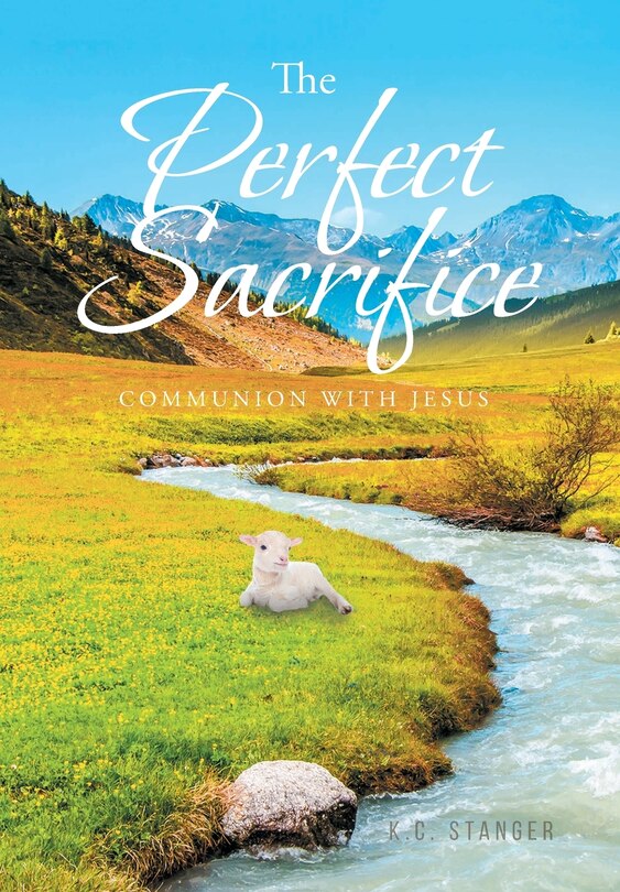 Couverture_The Perfect Sacrifice