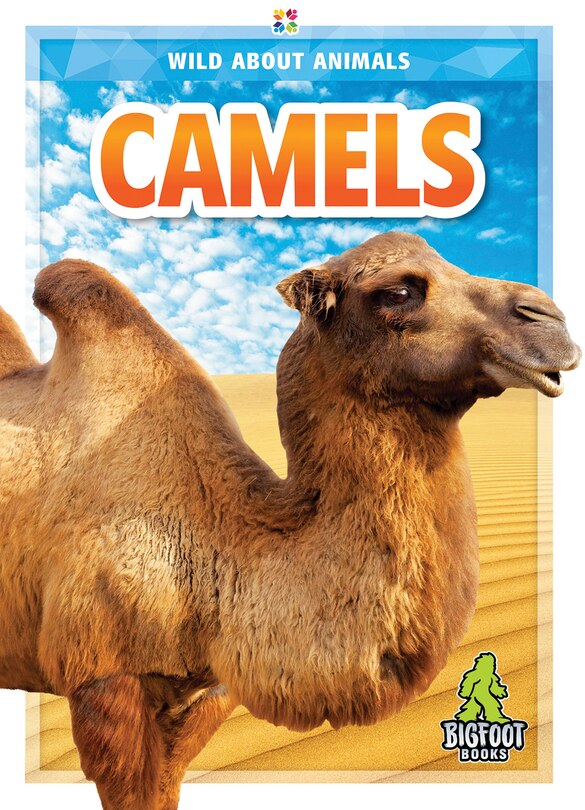 Front cover_Camels