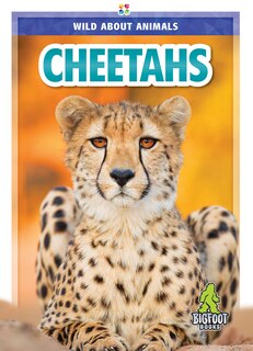 Front cover_Cheetahs