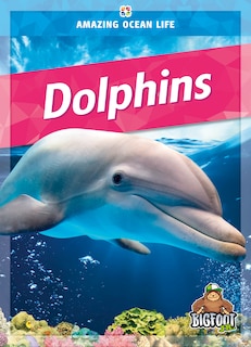 Couverture_Dolphins