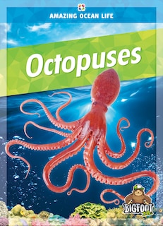 Couverture_Octopuses