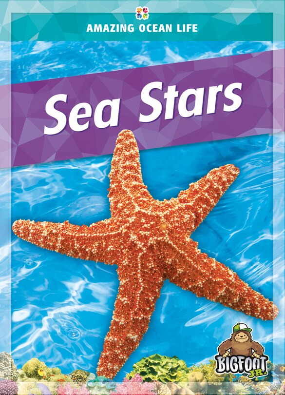 Front cover_Sea Stars