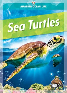 Front cover_Sea Turtles
