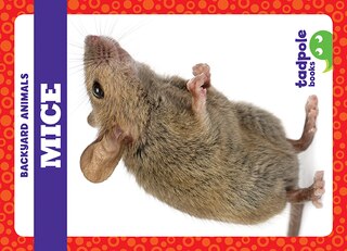 Couverture_Mice