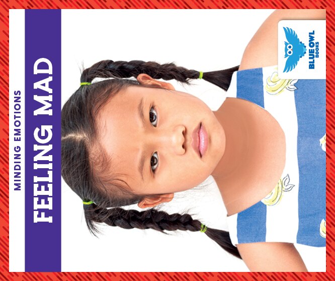 Couverture_Feeling Mad
