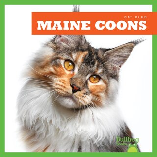 Couverture_Maine Coons