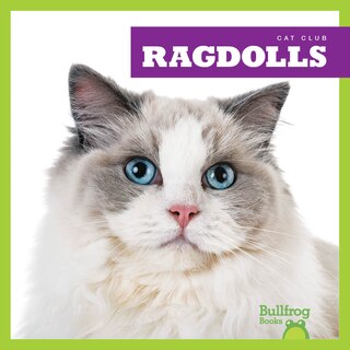 Couverture_Ragdolls