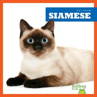 Couverture_Siamese
