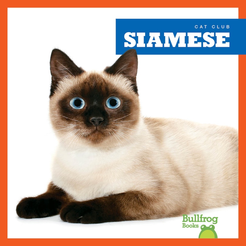Couverture_Siamese