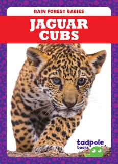 Front cover_Jaguar Cubs