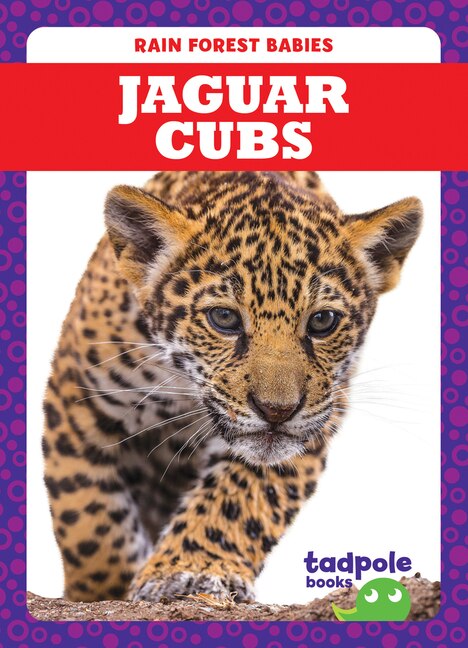 Front cover_Jaguar Cubs