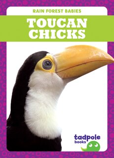 Front cover_Toucan Chicks