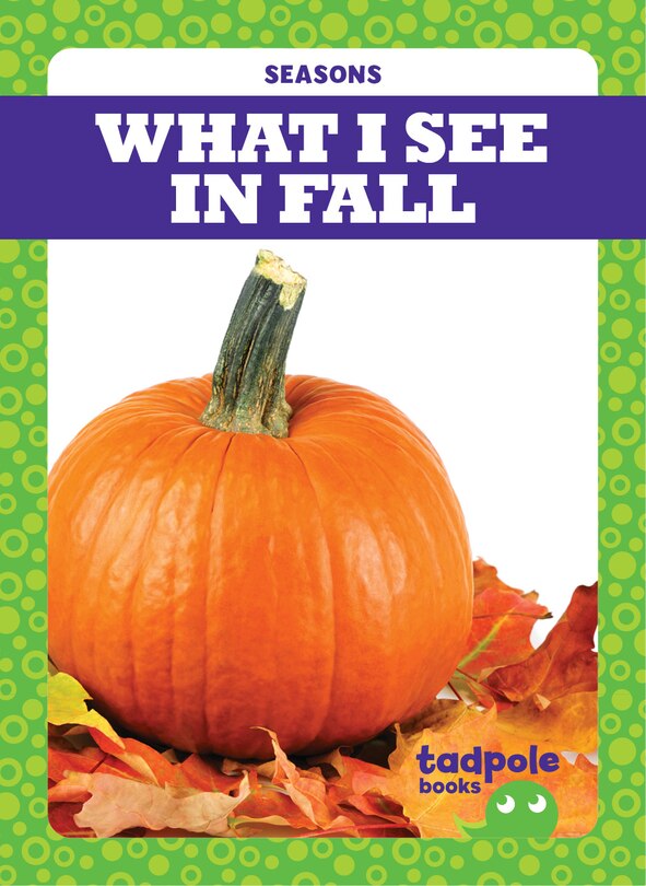 Front cover_What I See in Fall