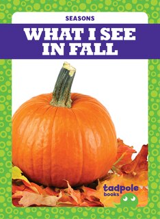 Couverture_What I See in Fall