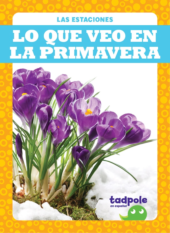 Front cover_Lo Que Veo En La Primavera (What I See in Spring)