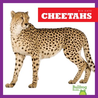 Front cover_Cheetahs