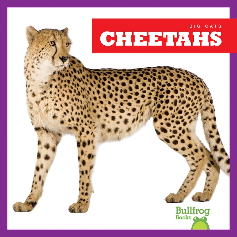 Front cover_Cheetahs