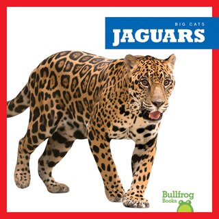 Front cover_Jaguars
