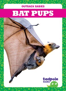 Front cover_Bat Pups