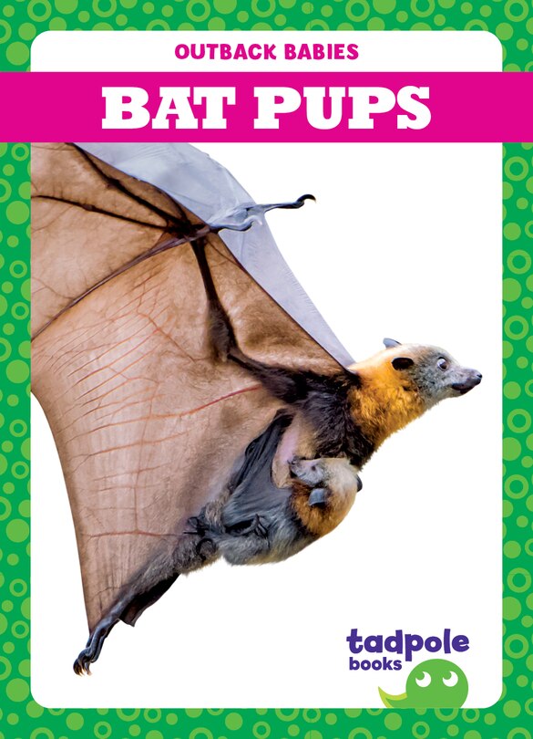 Front cover_Bat Pups