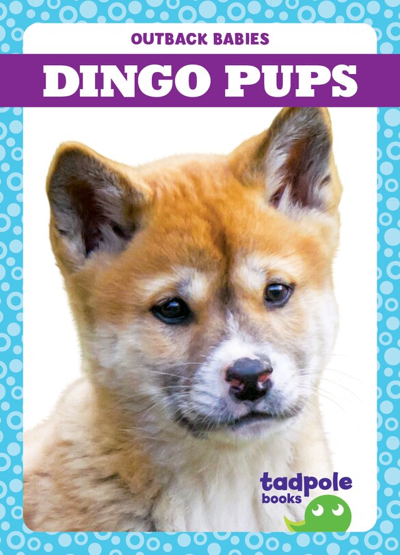 Front cover_Dingo Pups