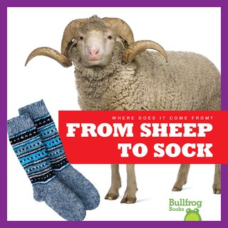 Couverture_From Sheep to Sock