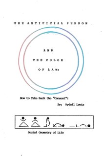 Couverture_The Artificial Person and the Color of Law