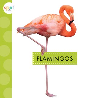 Front cover_Flamingos